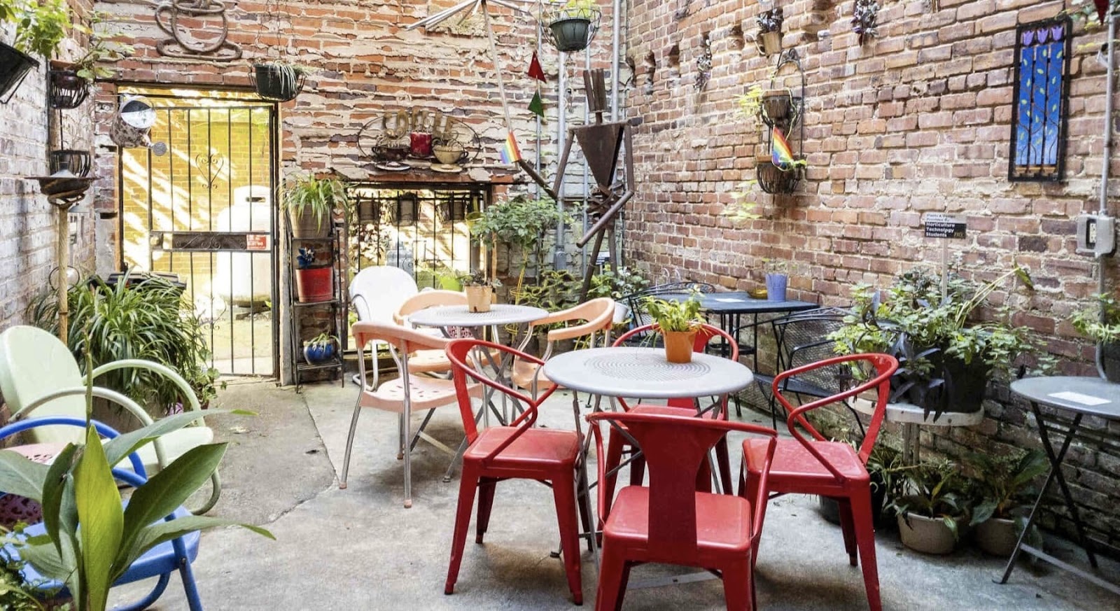 Best Coffee Experiences in North Carolina