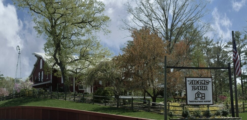 The Best Places to Eat in Raleigh, North Carolina